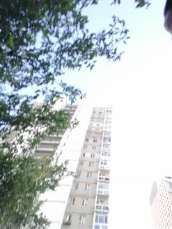 刘老师