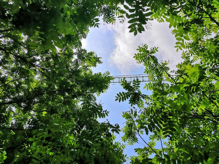 沈阳家教网-邱老师