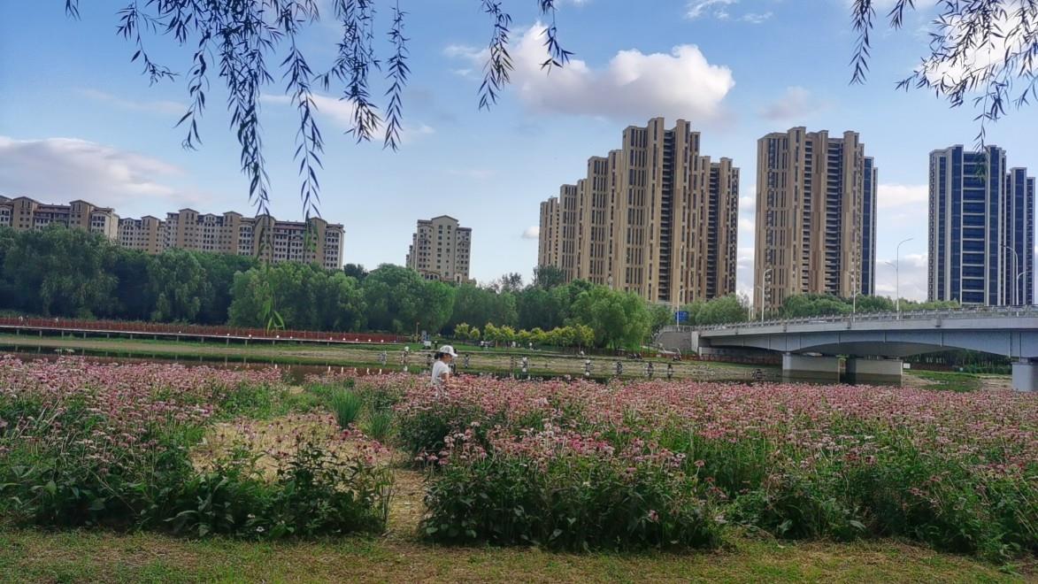 沈阳家教网-周老师