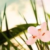 沈阳家教网-闫老师